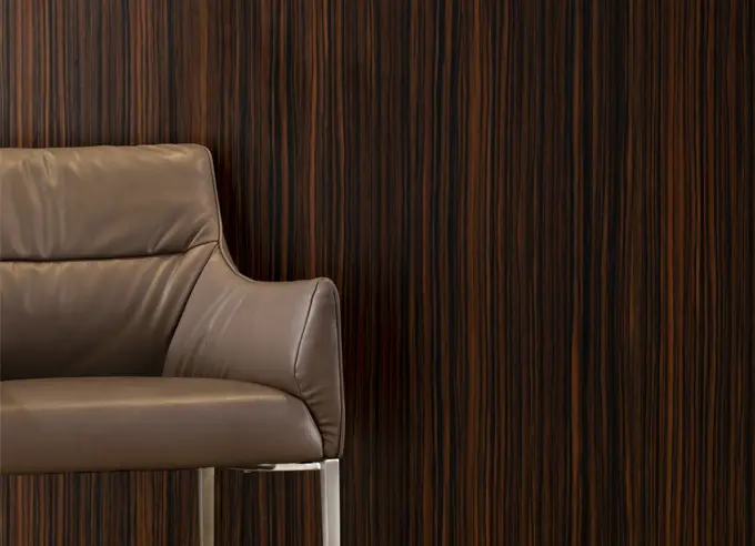 Veneer in Pune